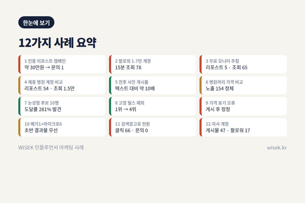 인플루언서 마케팅 사례 12가지 요약